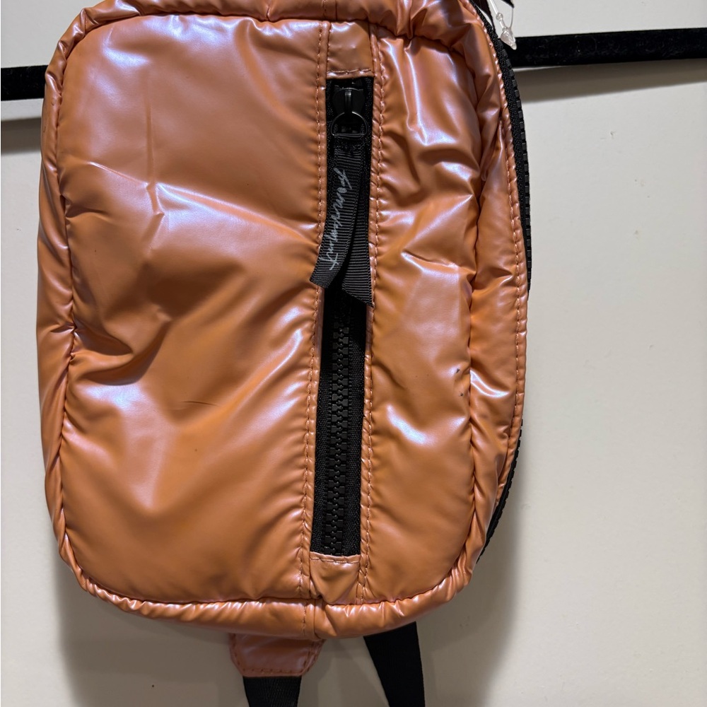Free People Iridescent Bum Bag